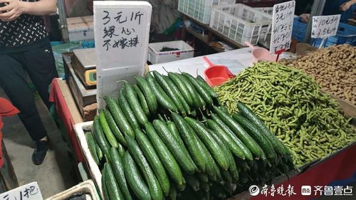濟(jì)南多種蔬菜價(jià)格回落，市場(chǎng)增速放緩
