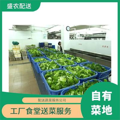 羅陽鎮(zhèn)飯?zhí)檬巢呐渌头?wù)公司 農(nóng)副產(chǎn)品配送與大型批發(fā)市場的平價送菜服務(wù)
